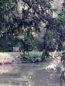 stress-free-sanctuary stress_free_sanctuary